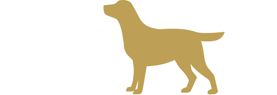 Onoranze funebri per animali domestici - Cani